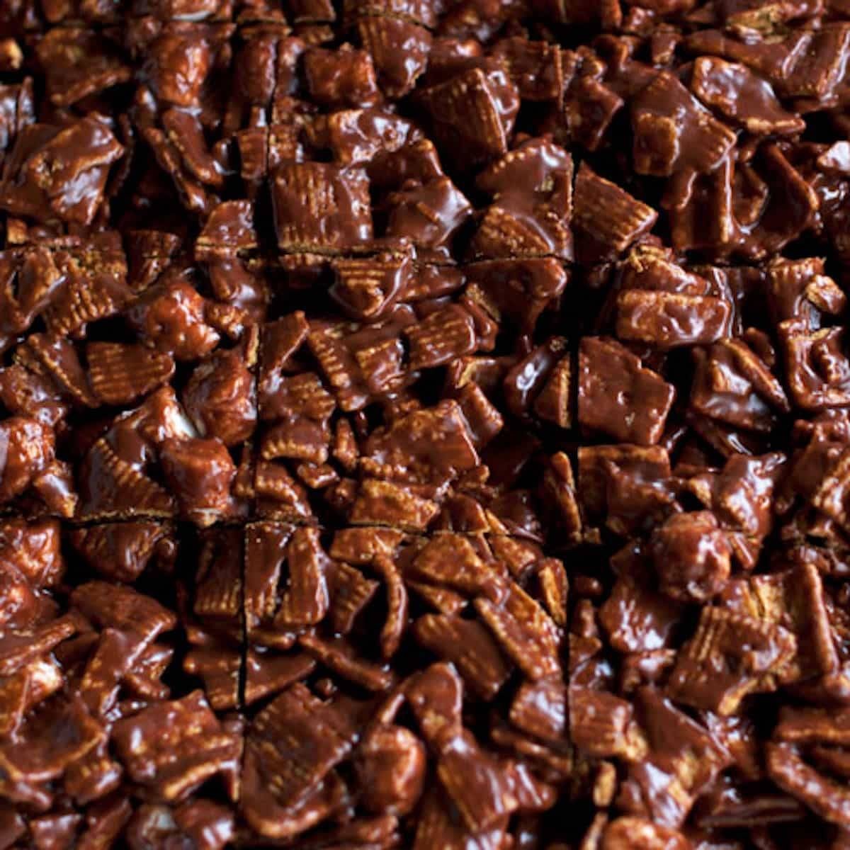 Golden Grahams s'mores bars close up.