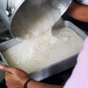 A picture of Sweet Corn Maja