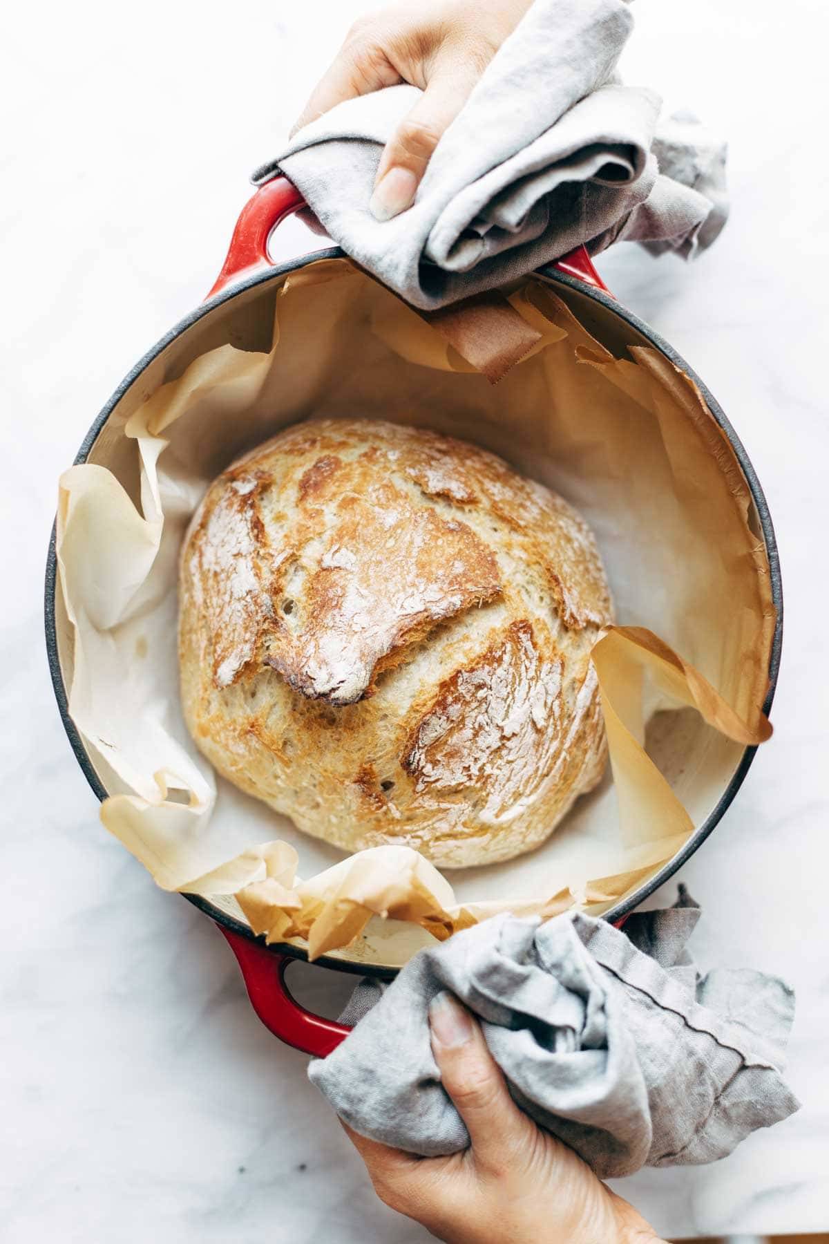 White hands holding a red dutch oven. There is homemade no knead bread on top of parchment paper in the dutch oven pot.