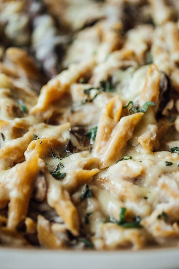 Healthy Mushroom Alfredo Pasta Bake close up.